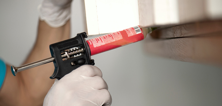 pest control companies, pest control services, local pest control services, pest control tips