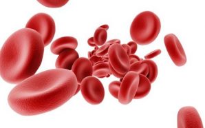 Advice on Living with Multiple Myeloma