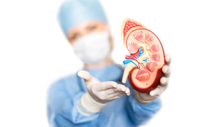 metastatic renal cell carcinoma treatment, renal cell carcinoma diagnosis, metastatic renal cell carcinoma, metastatic renal cell carcinoma treatments, What is Renal Cell Carcinoma Cancer?, metastatic renal carcinoma treatments, metastatic renal cell carcinoma diagnosis, renal cell carcinoma treatment, renal cell carcinoma, alternative kidney cancer treatment, advanced kidney cancer treatments, kidney cancer survival rates, treatment advanced kidney cancer, metastatic kidney cancer treatments, treatment for metastatic kidney cancer